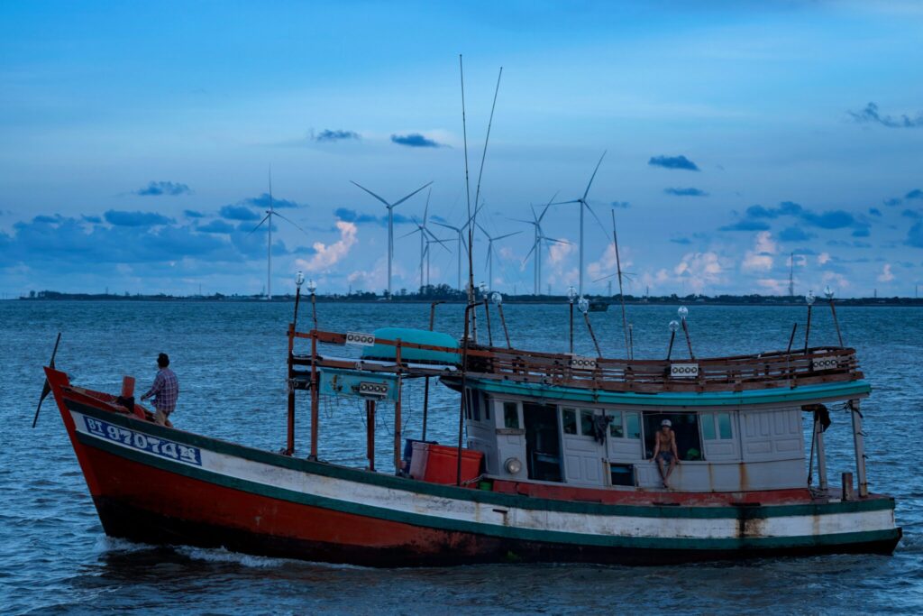 The Coastal Zone of the Mekong Delta, Vietnam