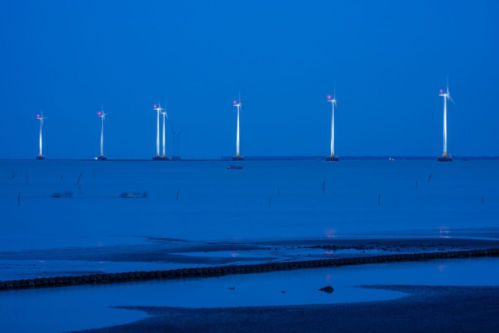 The Coastal Zone of the Mekong Delta, Vietnam