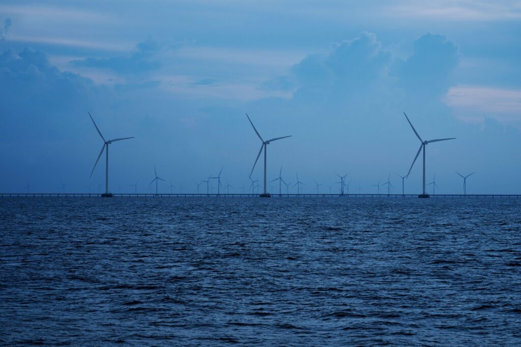The Coastal Zone of the Mekong Delta, Vietnam