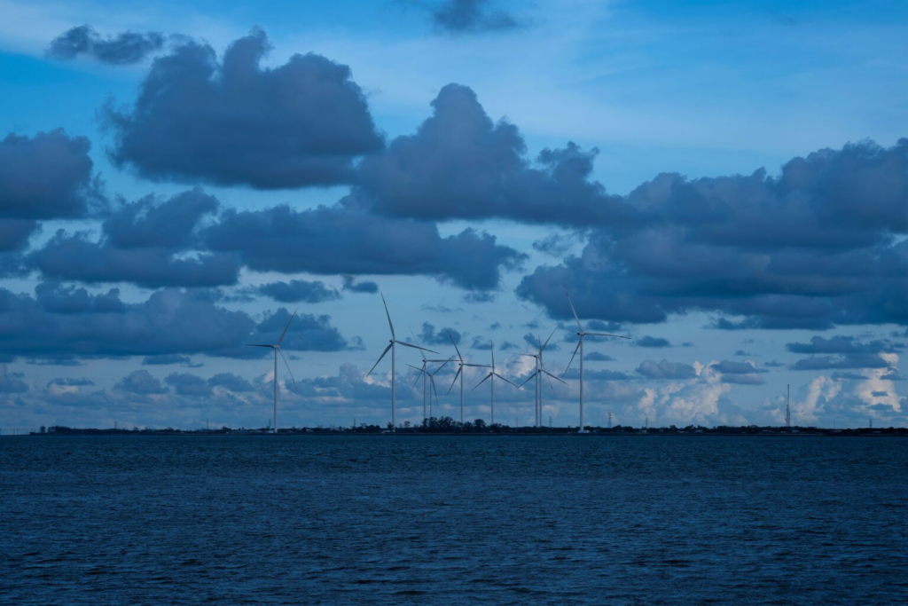 The Coastal Zone of the Mekong Delta, Vietnam