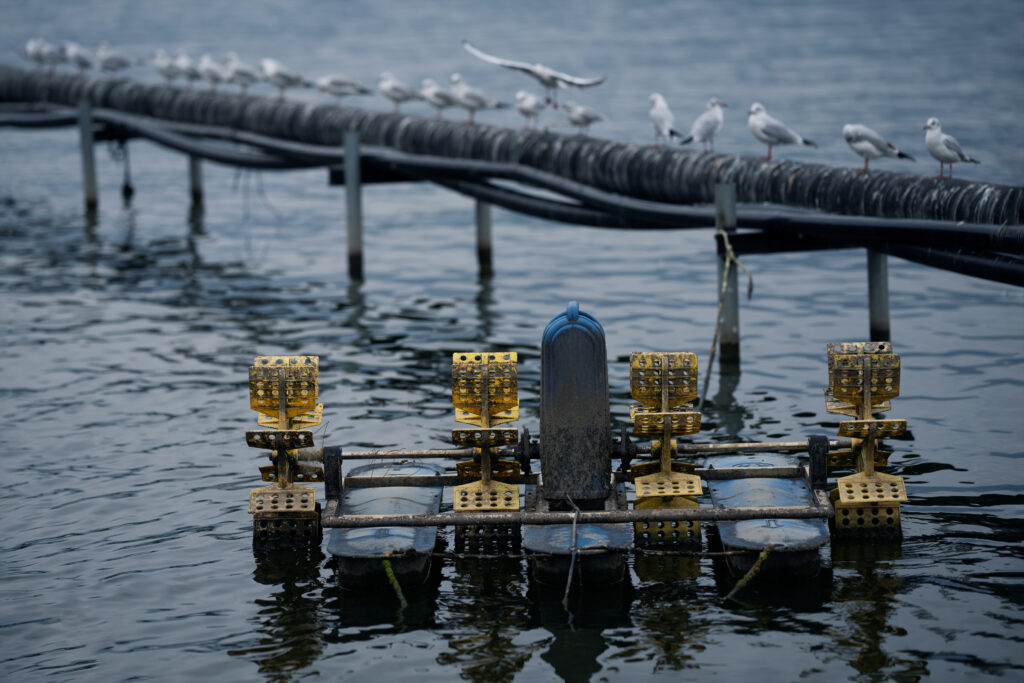 Travelogue Kunming, China