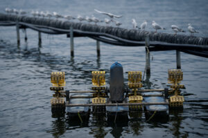 Travelogue Kunming, China