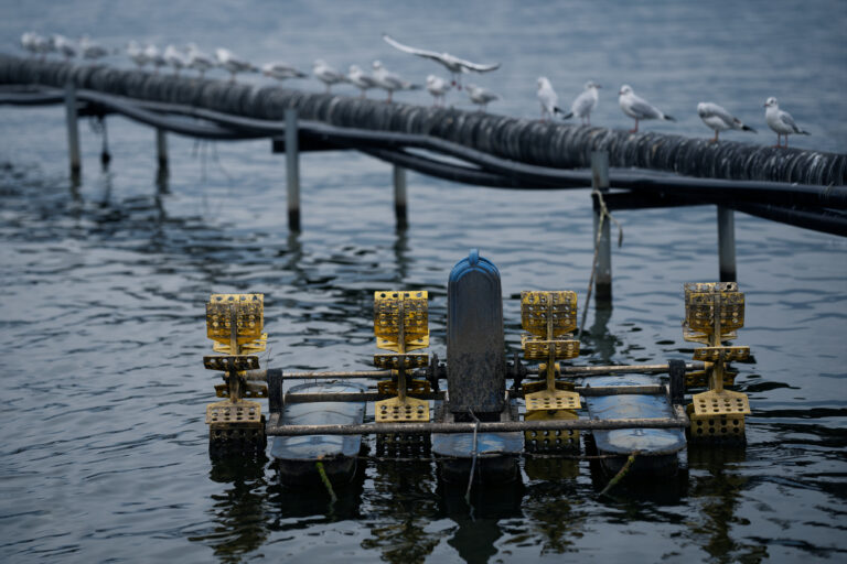 Travelogue Kunming, China